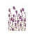 Mauve est en rupture de stock