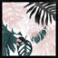Novogratz « palm rosé iv », reproduction d’art encadrée-597055634-597055635