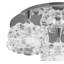 Vinton Glass Semi Flush Mount