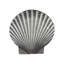 Large Scallop Cabinet Knob-27118600