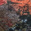 Gilroy Patchwork Area Rug-1183394526