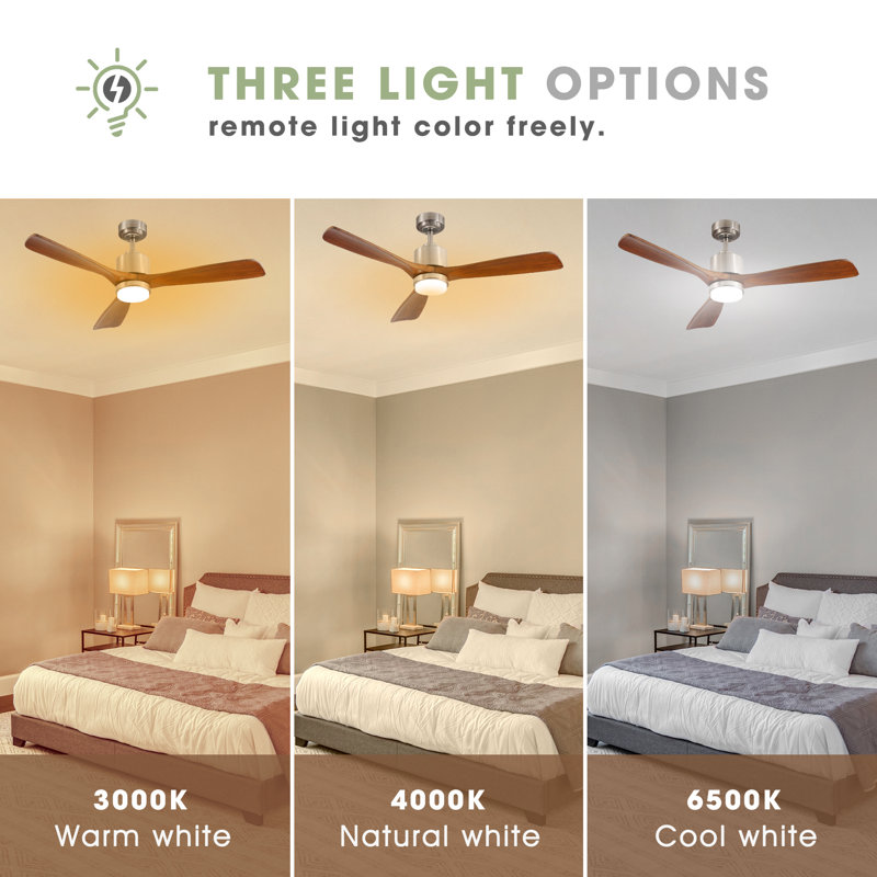 Frankin 52'' Solid Wood Ceiling Fan with LED Lights, Silver with Brown Blades