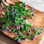 Plante artificielle 22,4 po-1444496445-1444496441