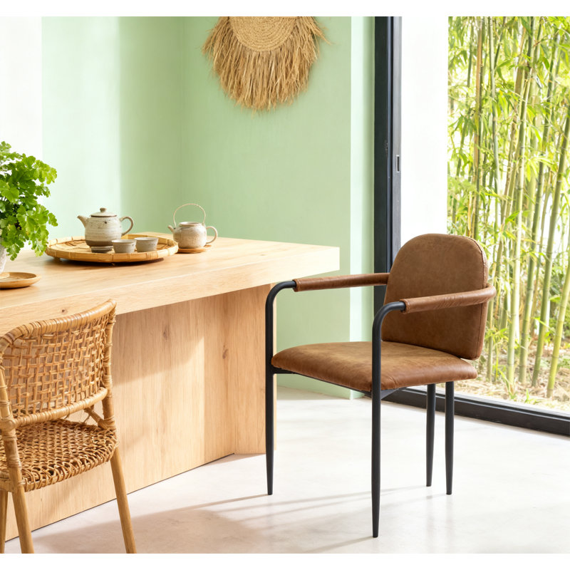 Dinning Chair with frame
