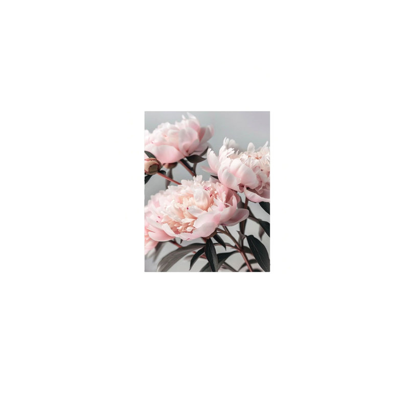Pivoine fleur rose, reproduction d'art sur toile abstraite, 18 po x 12 po