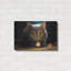 Art mural en métal Winston Porter «Grey Cat» par Momart-249088206