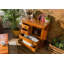 Oxford Solid Wood 87cm W 4 - Drawer Chest of Drawers