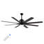 66'' Ceiling Fan with LED Lights-871005837