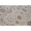 Cornwall One-of-a-Kind 7'11" Area Rug