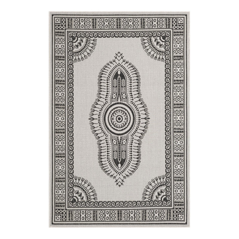 Oriental Indoor / Outdoor Rug, Rectangle 5'3" x 8'