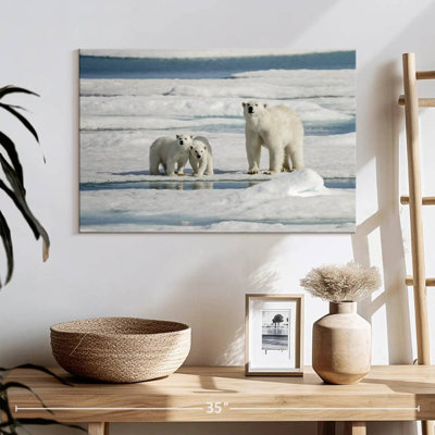 Ours polaires Brampt Longyearbyen