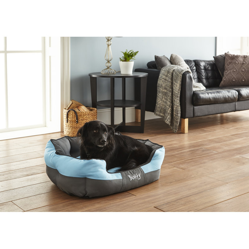 Levesque Polyester Pet Bed, 36cm H x 36cm W x 20cm D, Blue