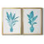«Watercolor House Plant I», ensemble de 2 reproductions d'art sur toile encadrées-715632297-715632302