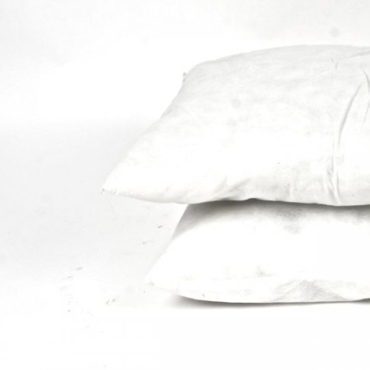 Reversible Pillow Insert
