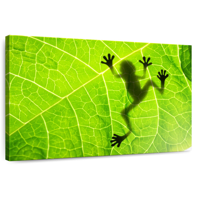 Brampt Frog Leaf Shadow, 26" H x 39" W