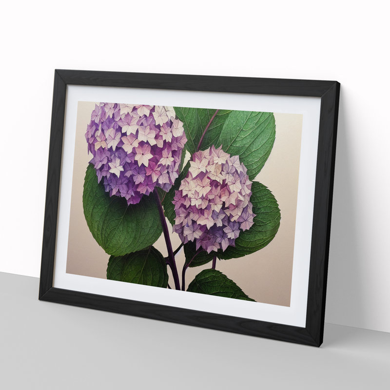 Watercolour Hydrangea Flowers Vol.2 - Single Picture Frame Print, Black, 46cm H x 64cm W x 2cm D