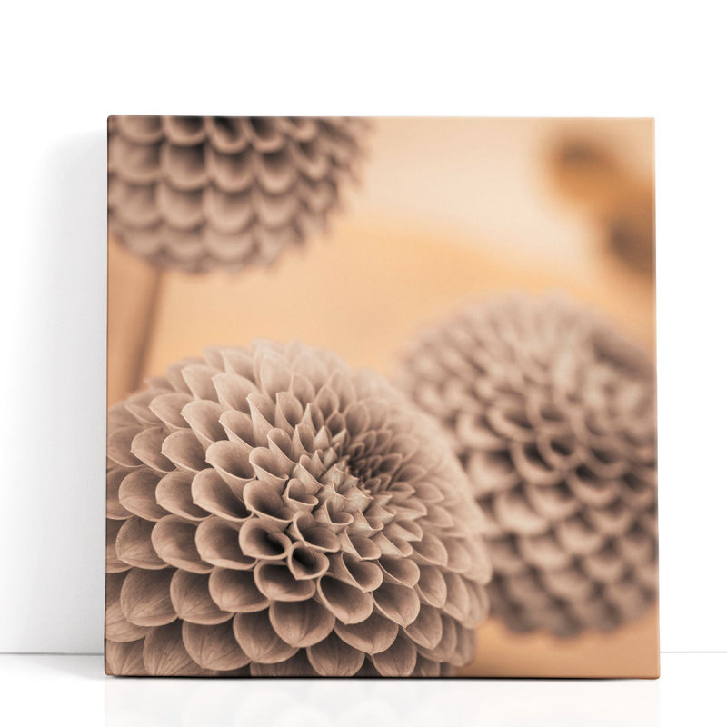 «Dahlia Flowers 2», reproduction d'art sur toile, H 20 po x l 20 po