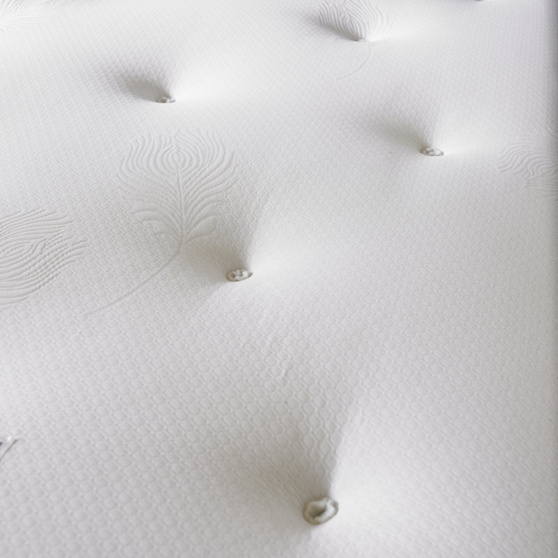 Asia Hilton Orthopaedic Divan Bed, Small Single, Silver Plush Velvet, No Storage