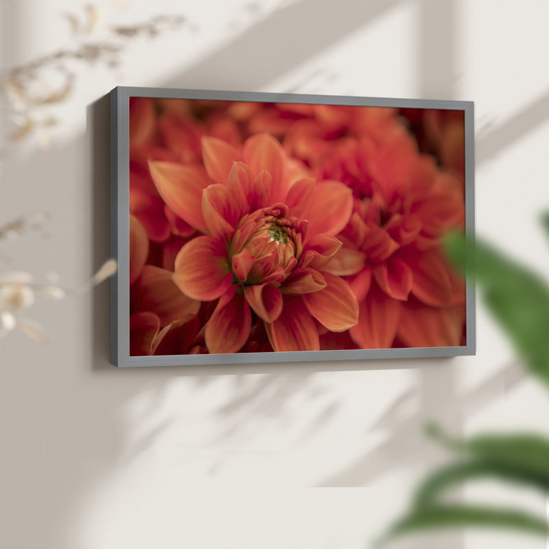 Spring Fire -Framed Print - Restickable, 11" H x 14" W, Gray