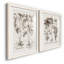 Sépia Besler Botanicals V-Premium, reproduction encadrée - prête à être accrochée-759158604-759158607