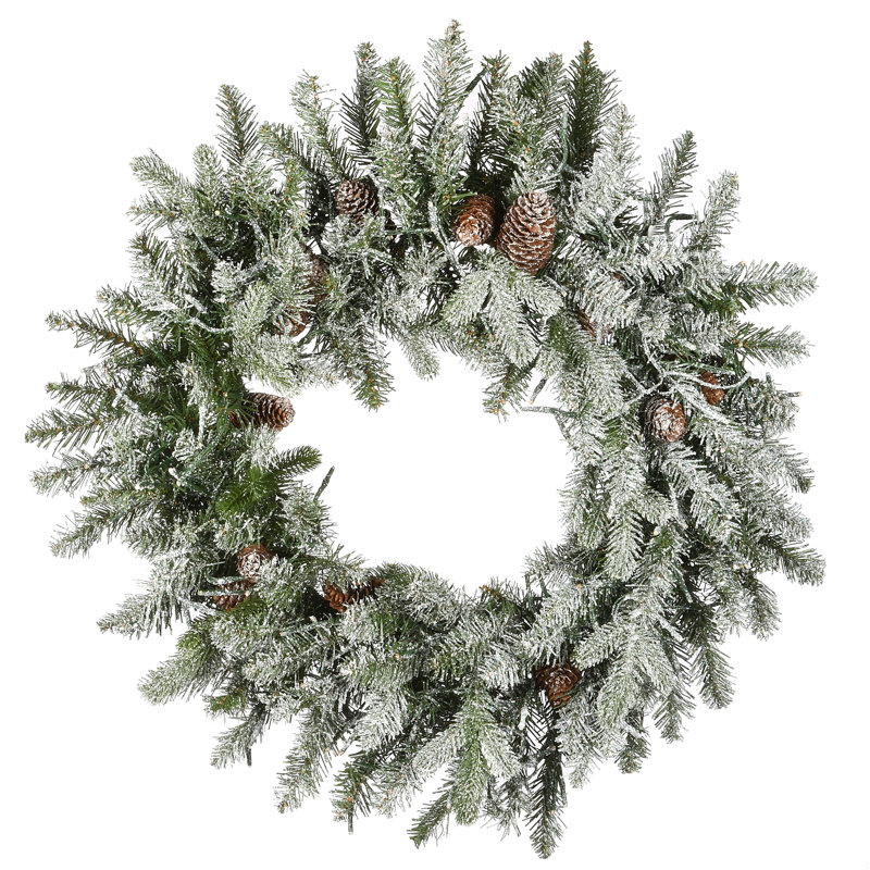 24'' Lighted Artificial Snowy Spruce Christmas Wreath