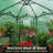 6.6 x 6.6 Ft Hexagon Outdoor Portable Walk-In Hobby Greenhouse, Flower House-116302486