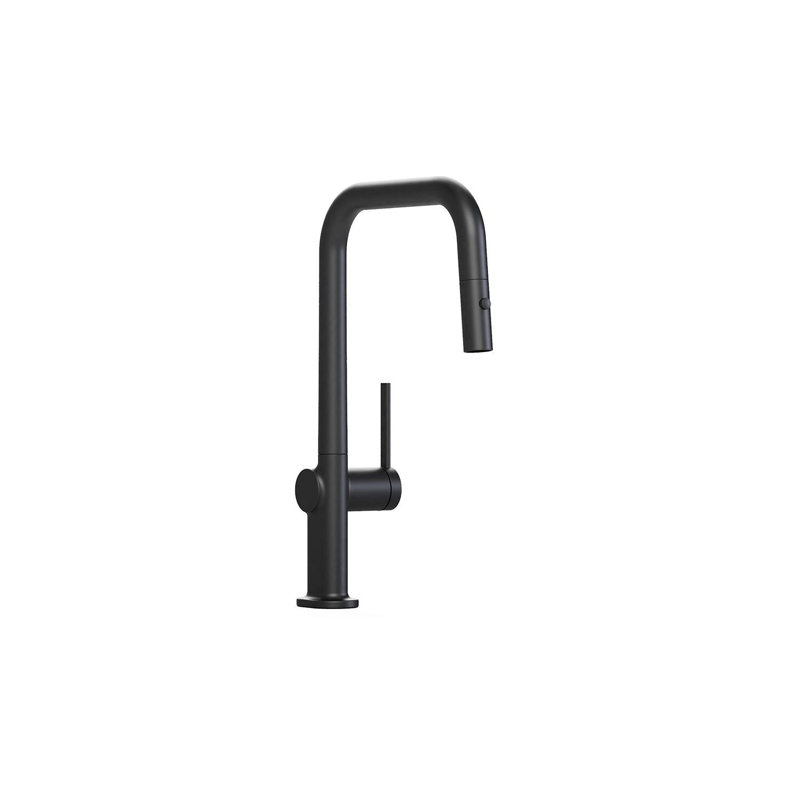 Robinet de cuisine amovible DAX