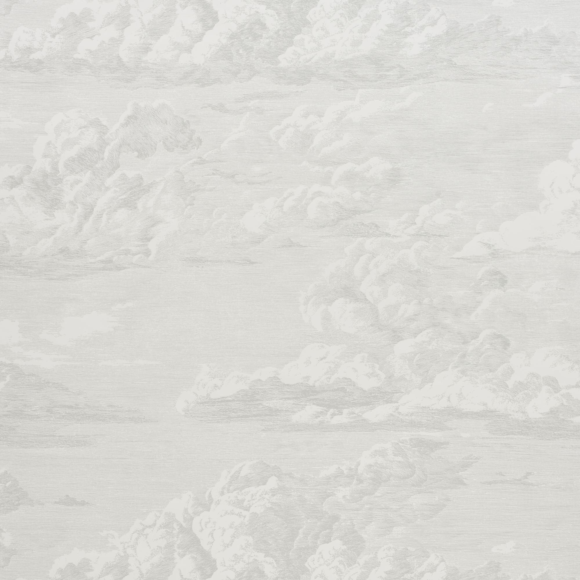 Schumacher Cloud Toile Wallpaper | Wayfair