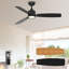Ventilateur de plafond standard de 52 pouces avec lumières DEL Emidia d'intérieur-1491014129-1484851268