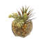 Faux Yucca Plant in Glass Decorative Vase