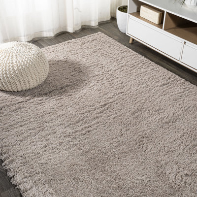 Anttwan Solid Shag Beige Rug