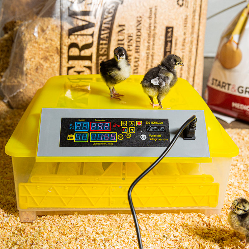 Incubateur à œufs de poule Demirose 40+