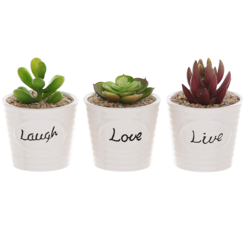 Ceramic Pot Planter