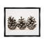 «Red Barrel Studio® Three Pinecones Nature encadrée par Floater»-980764214-980764212