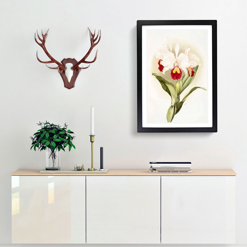 Magnolia Flowers Illustration Tab. 46 by Frederick Sander - Picture Frame Painting Print, 91cm H x 60cm W x 2cm D, Black