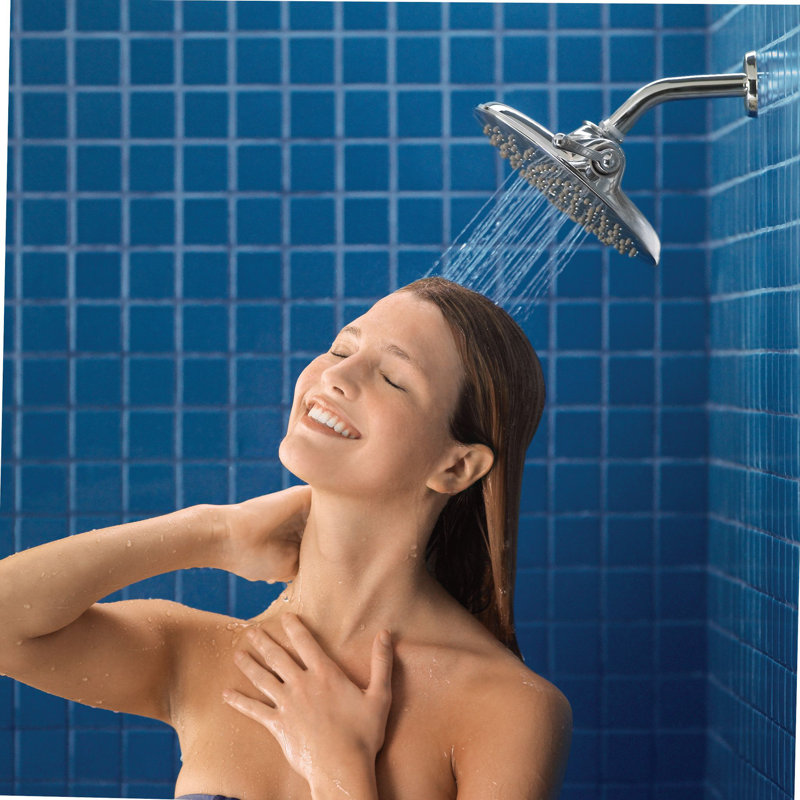 Velocity 2.5 GPM Multi Function with Immersion, Chrome