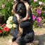 Statue d'ours noir debout
