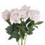 Anastasija Arrangement