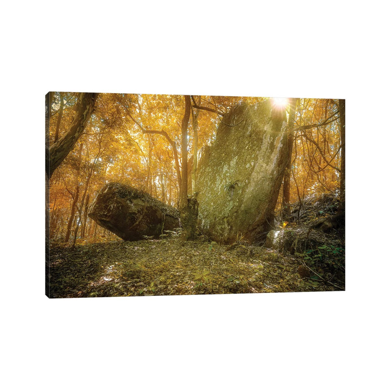 Tropical Forest VII 1 Piece Wrapped Canvas Wall Art, 101.6 cm H x 66.04 cm W