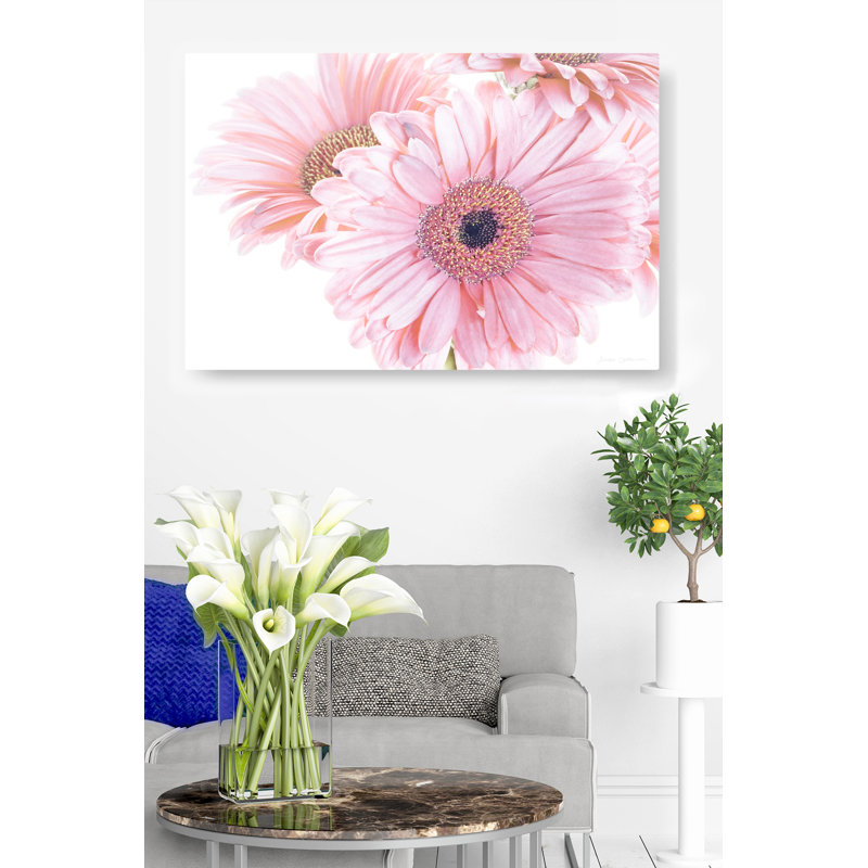 Gerbera, rose pastel, conceptuel, photo, H 24 po x l 48 po x P 1,5 po