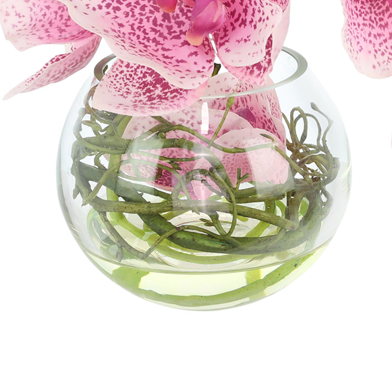 Orchids Arranged With Vines In A Clear Glass Bubble Bowl