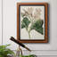 Toile encadrée de qualité supérieure Antique Botanical Collection-1421748417