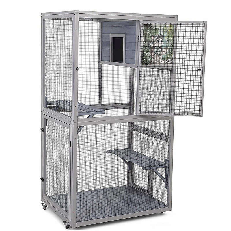 Enceinte d'extérieur pour chat Catio
