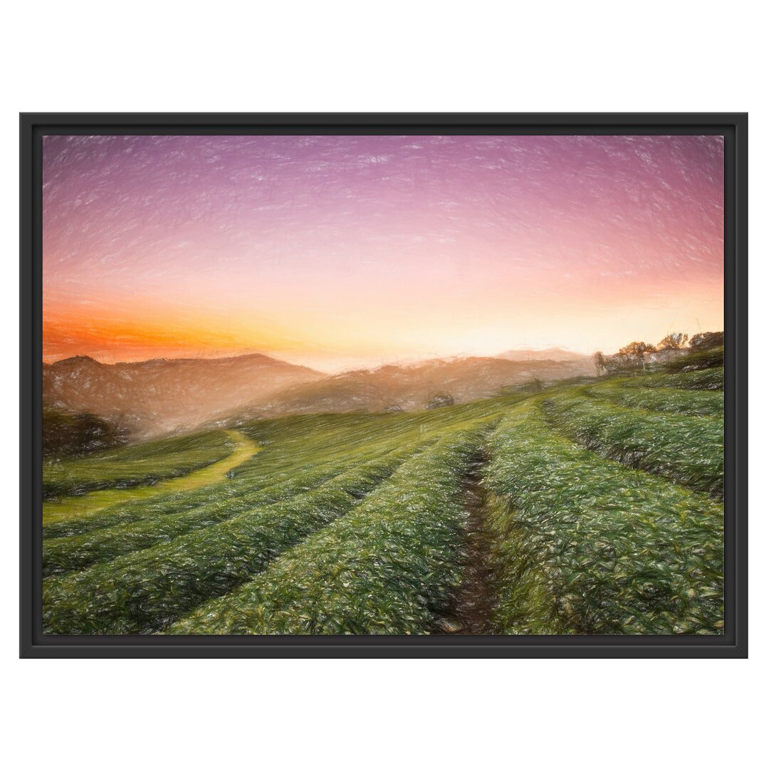 Gerahmtes Wandbild Sonnenaufgang Teeplantage Thailand