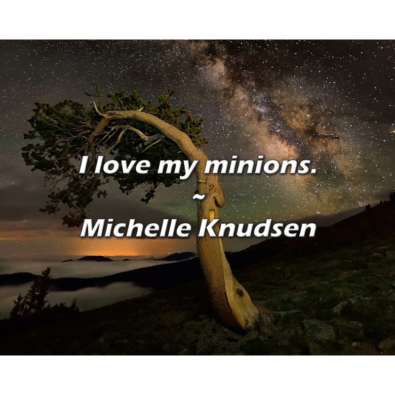 Citation artistique «I love my minions». Toile tendue par Michelle Knudsen, H 28 po x l 40 po
