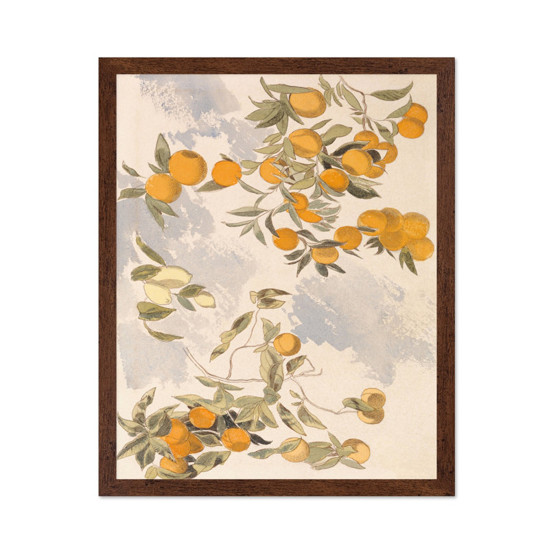Oranges et citrons, Affiche, Encadrement brun, H 11 po x l 14 po