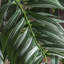 91cm Faux Palm Tree in Pot