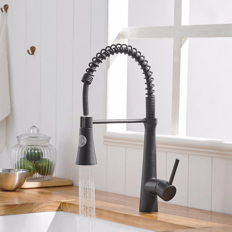 Robinet d'évier de cuisine à poignée simple avec douchette extractible