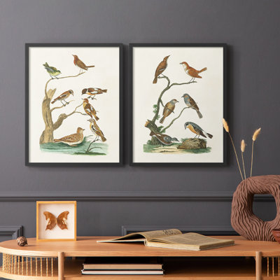 Oiseaux antiques dans la nature III - reproduction encadrée de qualité supérieure - prête à être accrochée - aucun clou requis - aucun clou requis