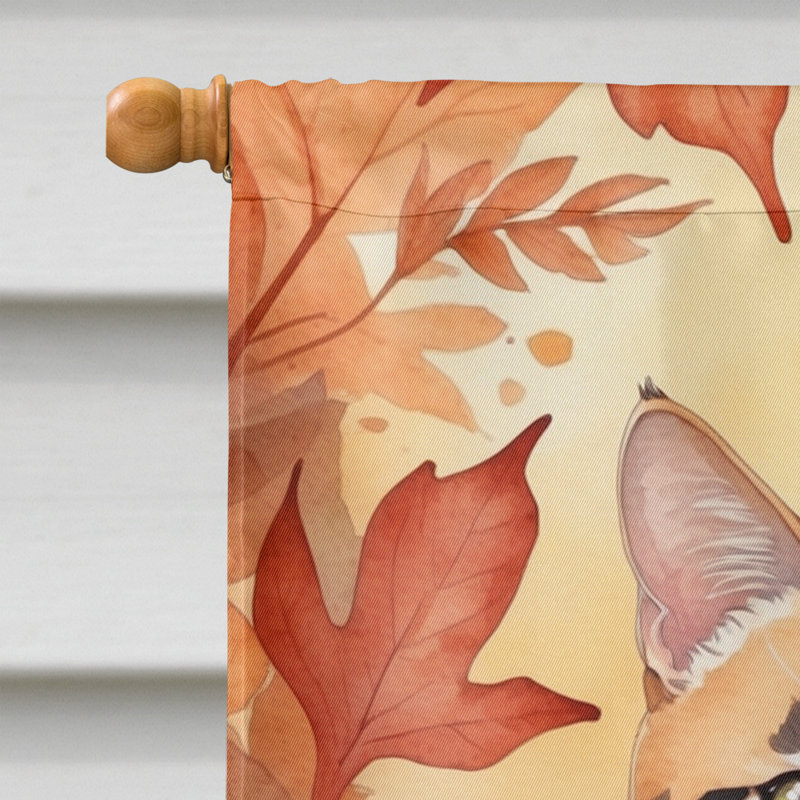 Chat en feuilles d'automne, Toyger